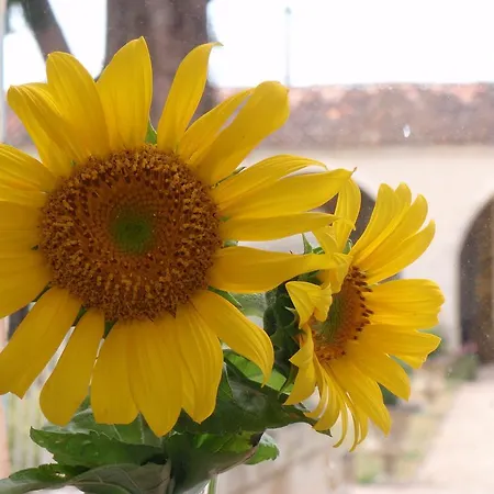 Le Petit Souhait & Le Verger Prázdninový dům Gourvillette